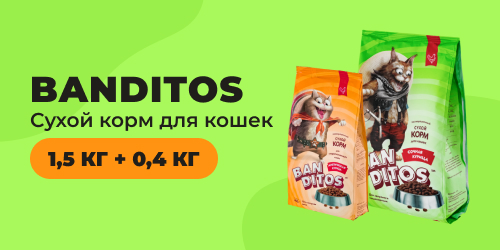 Акция! BANDITOS сухой корм для кошек 1,5 кг + 0,4 кг 